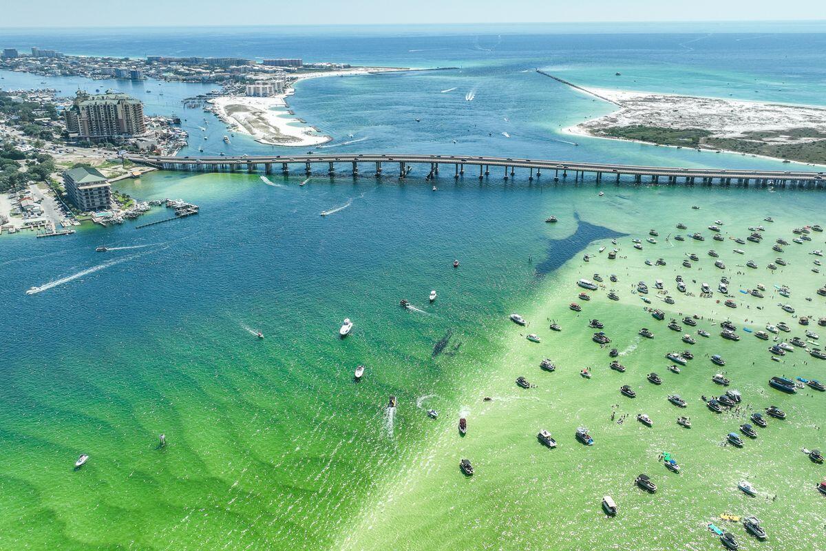 5 Calhoun Avenue, UNIT 607