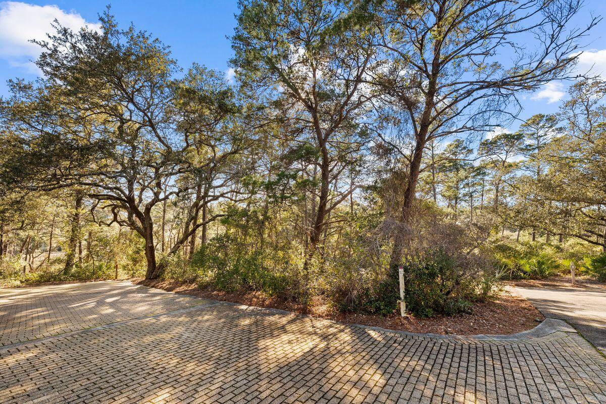 12-1 Wood Lily Lane