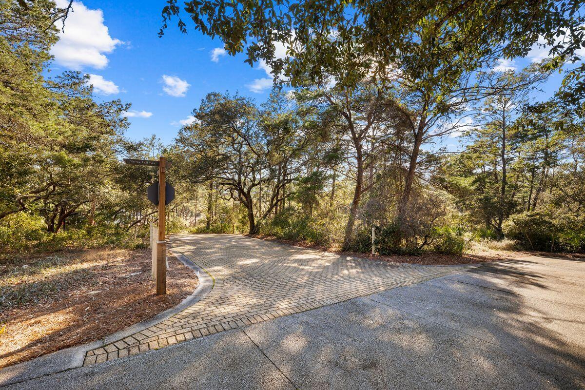 12-1 Wood Lily Lane