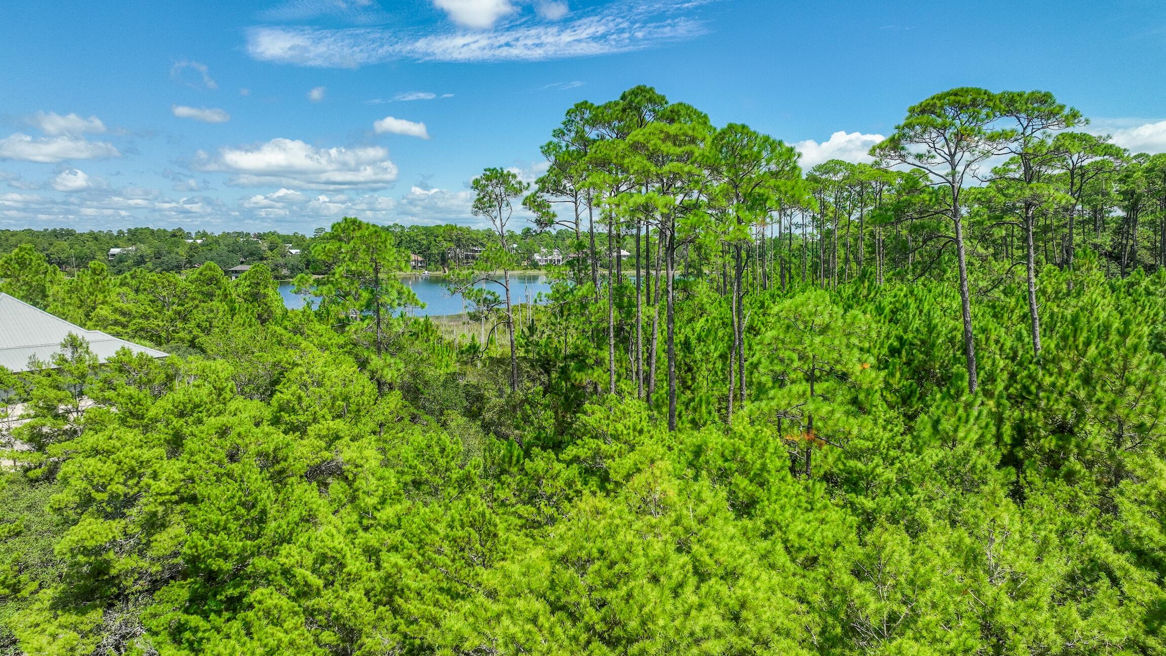 Lot 51 W Bermuda Drive