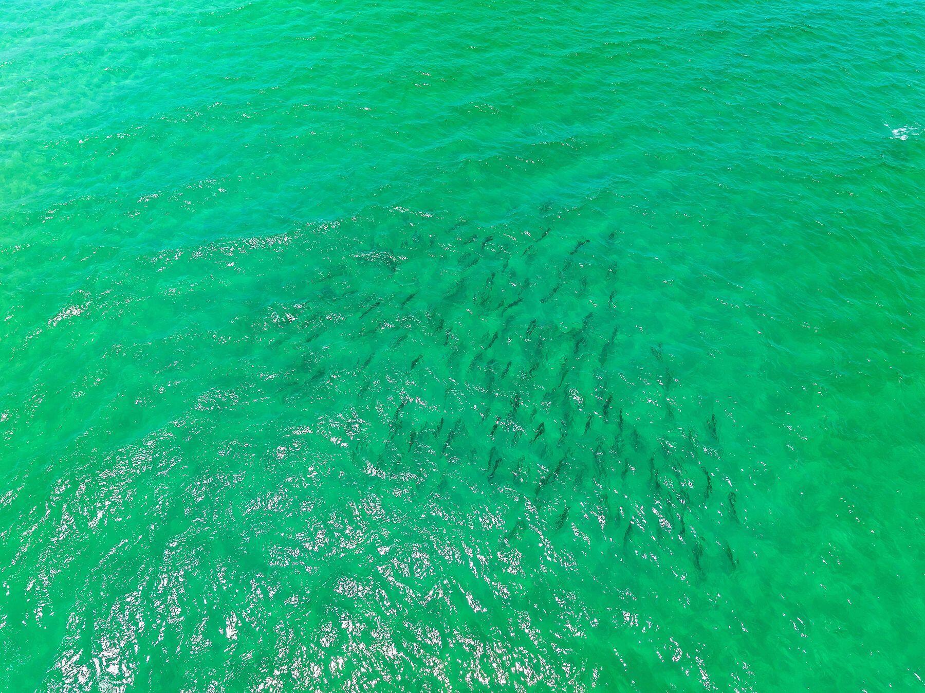 3015 E County Road 30A