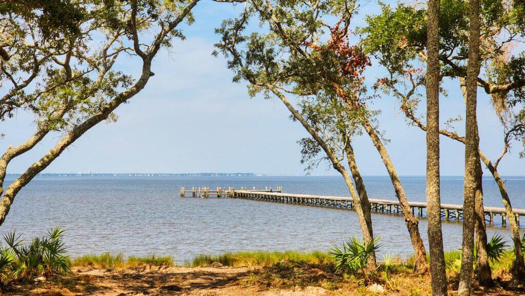 323 Lightning Bug Lane