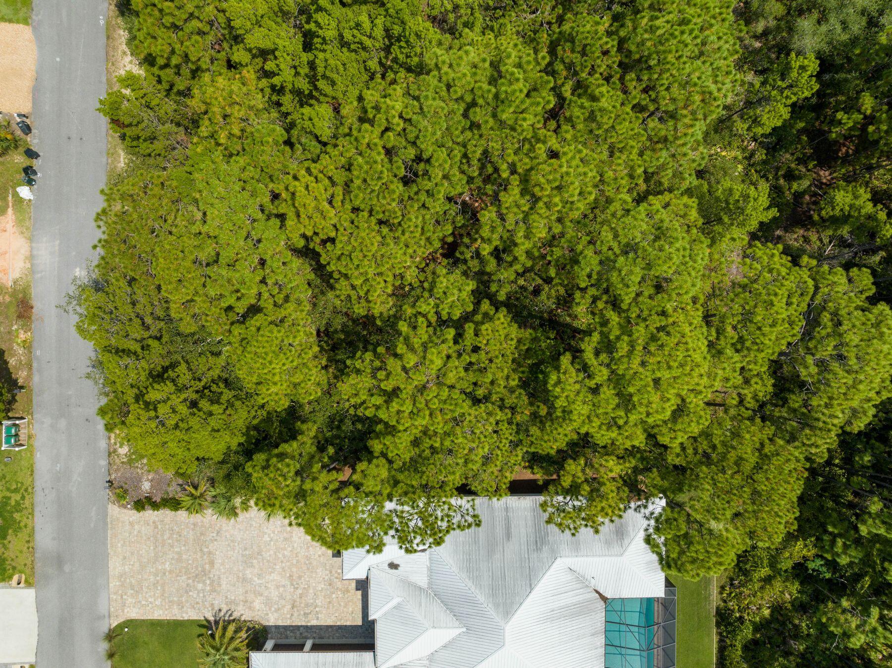 Lot 5 Seacrest Drive