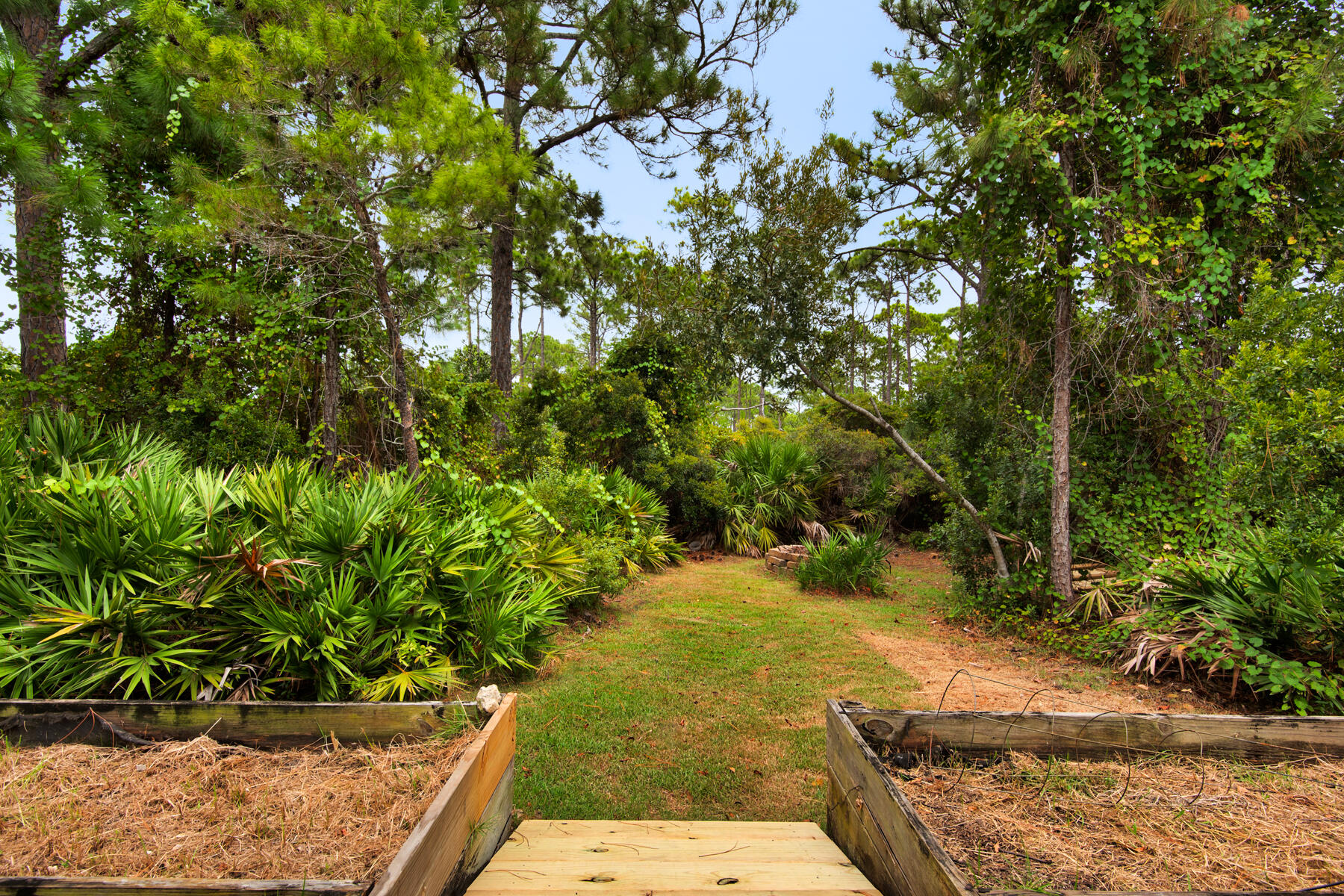 258 Loblolly Bay Drive