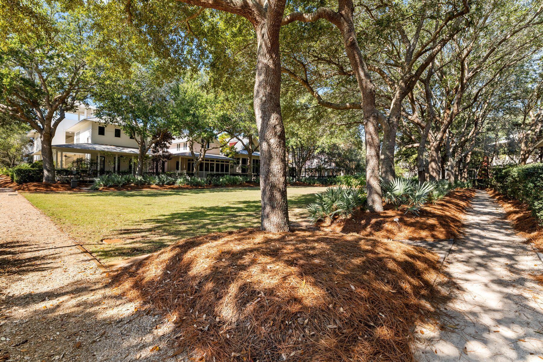 127 Buttercup Street