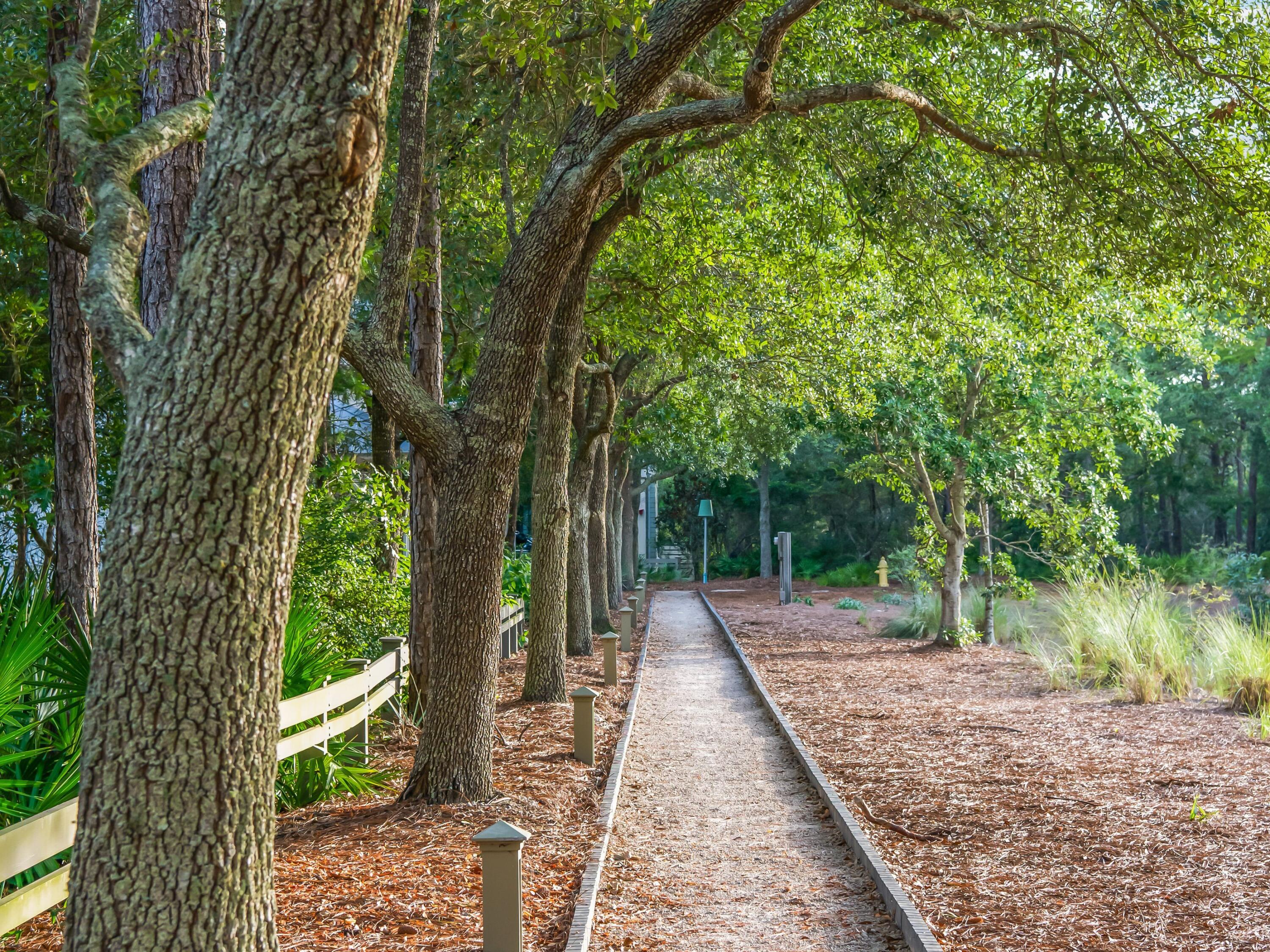 43 Spartina Circle