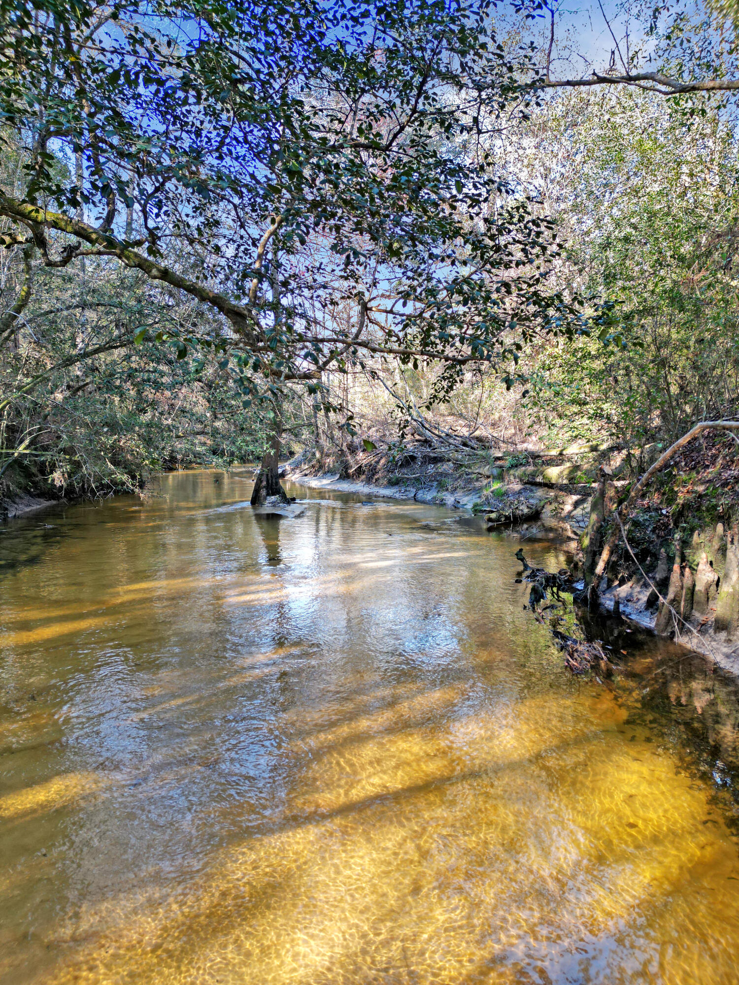 4343 E Plympton Road