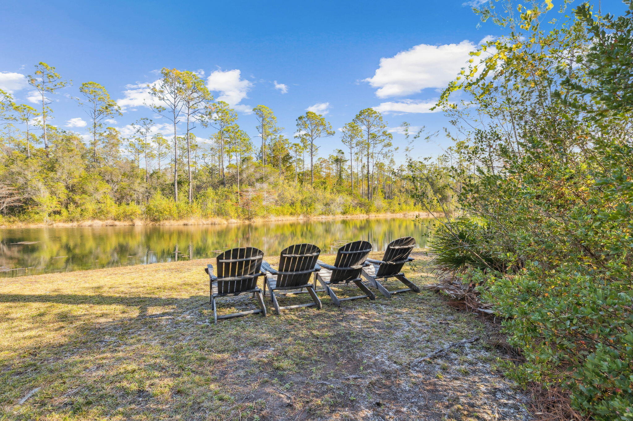 318 E Royal Fern Way