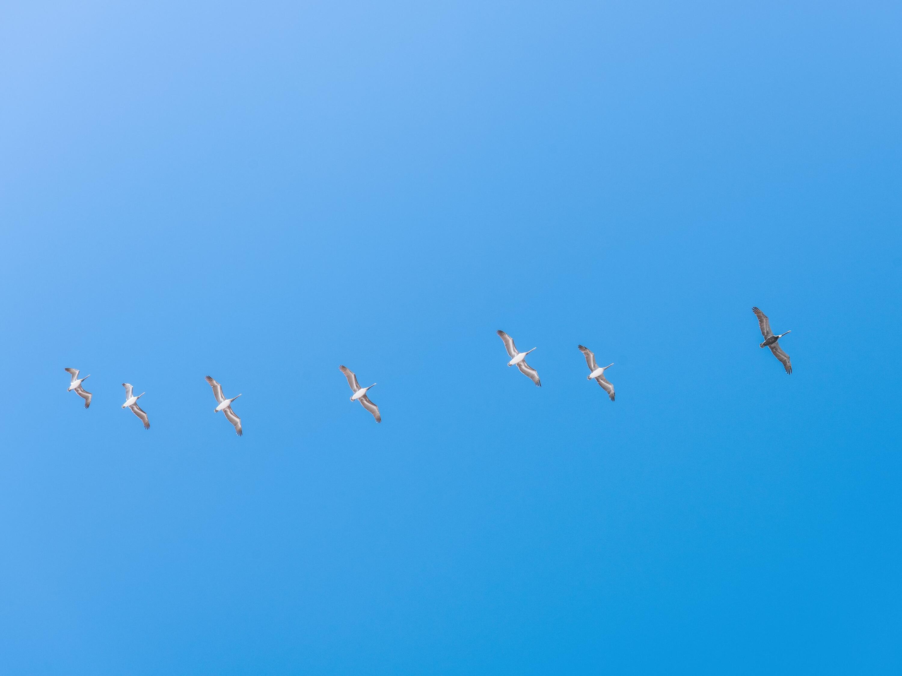 Lot 10 W Lupin Beach Drive