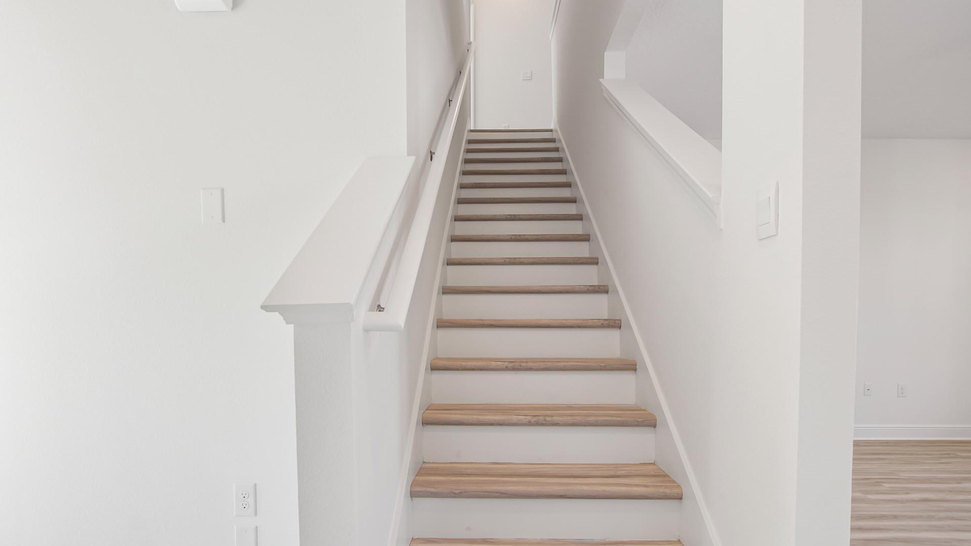 163 Holley Grove Lane