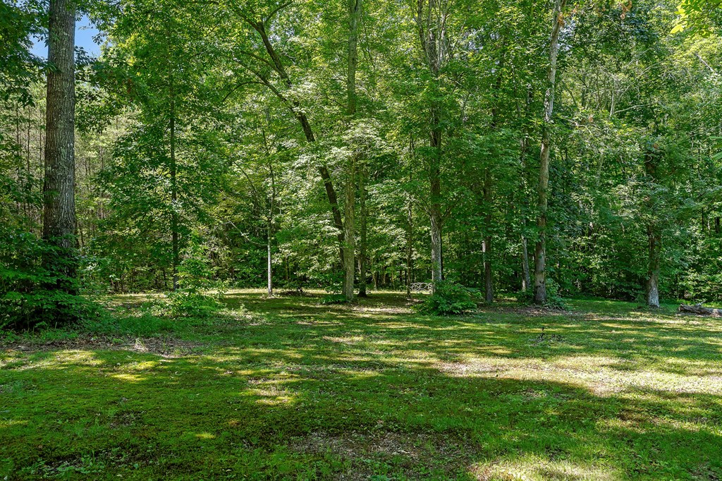 1737 Cummins Mill Rd