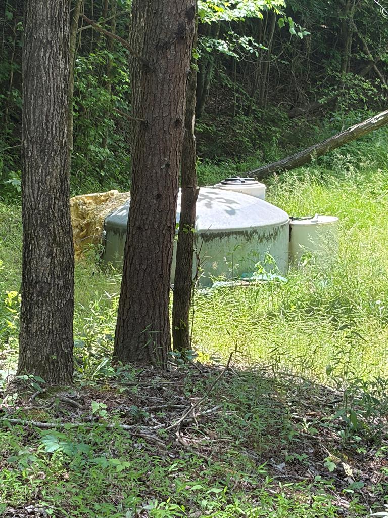 29 +/- Acres Standing Stone Hwy