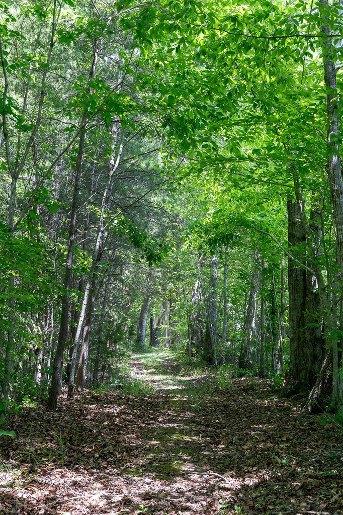 29 +/- Acres Standing Stone Hwy