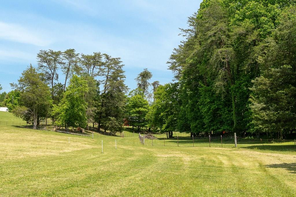 29 +/- Acres Standing Stone Hwy