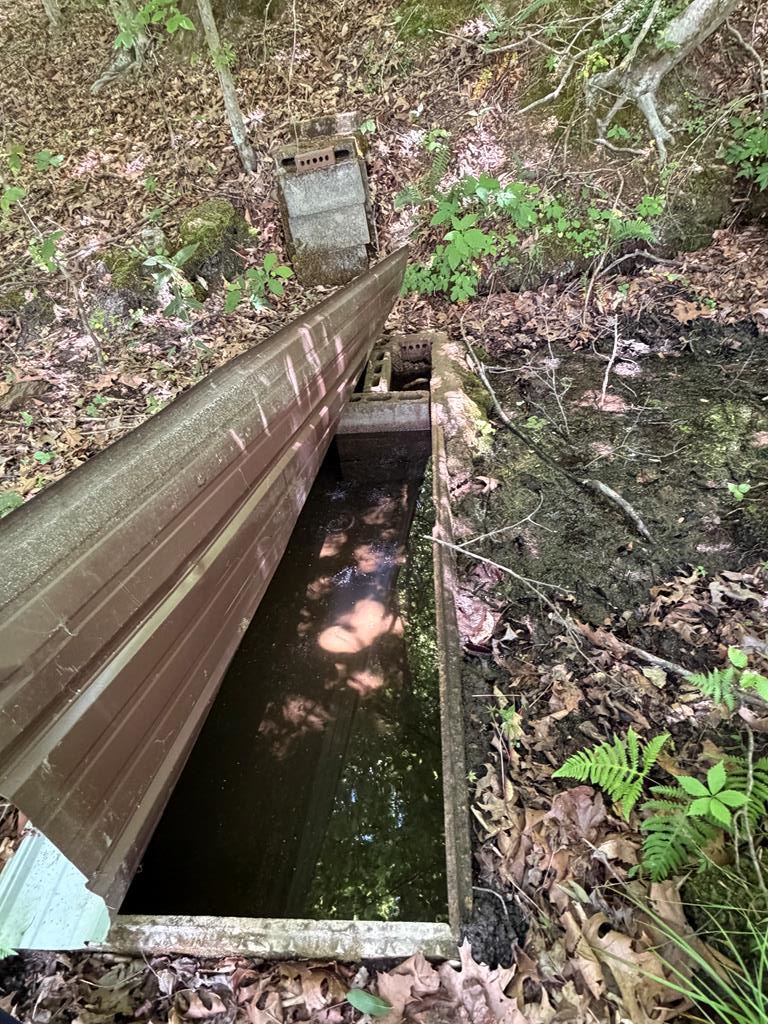 29 +/- Acres Standing Stone Hwy