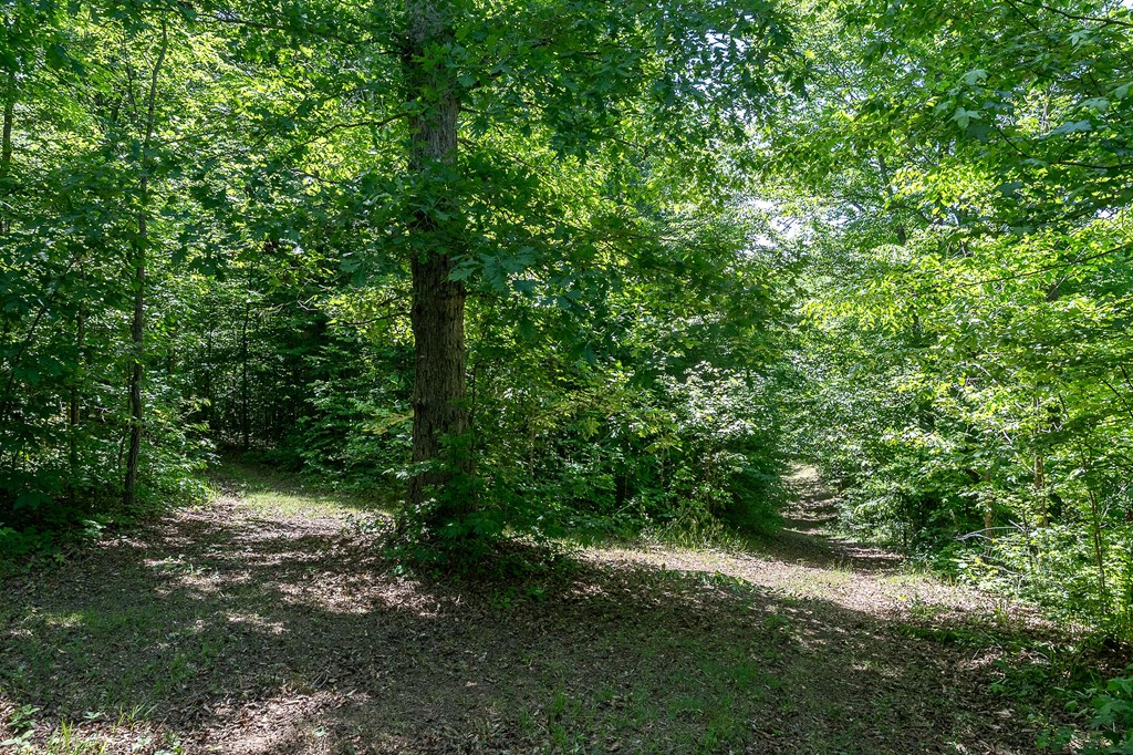 29 +/- Acres Standing Stone Hwy