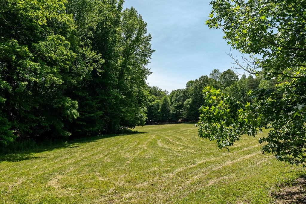 29 +/- Acres Standing Stone Hwy