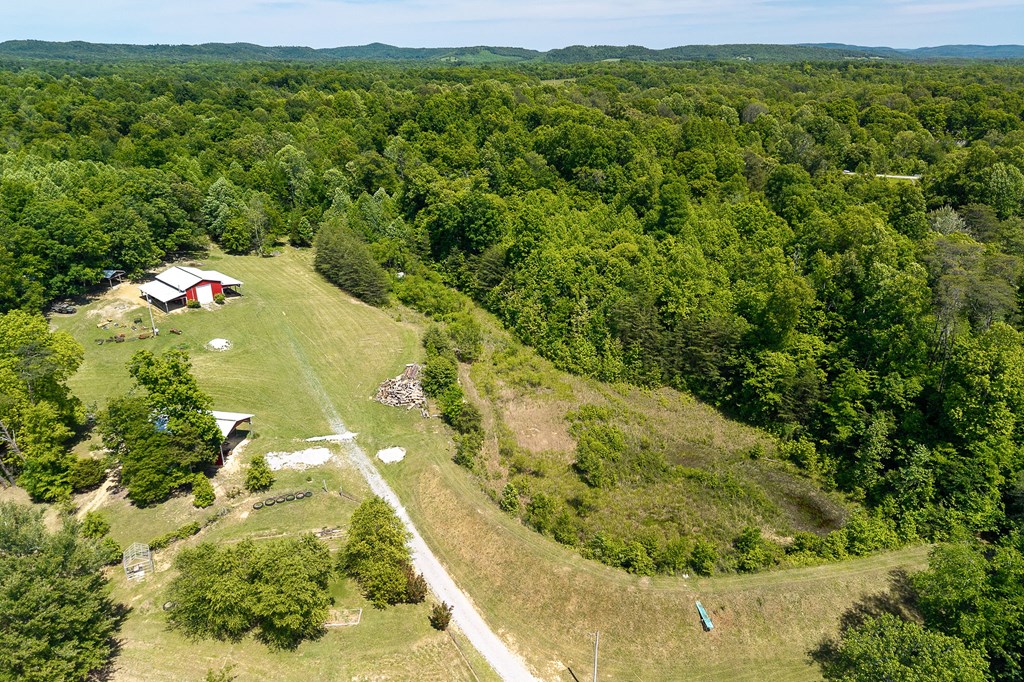 29 +/- Acres Standing Stone Hwy