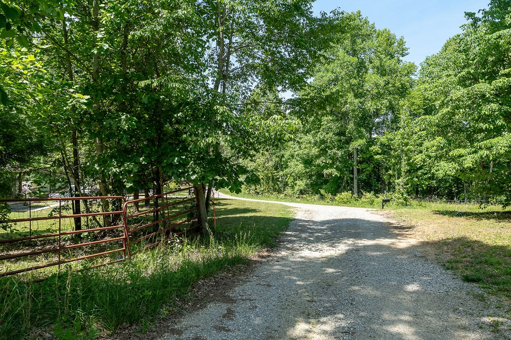 29 +/- Acres Standing Stone Hwy
