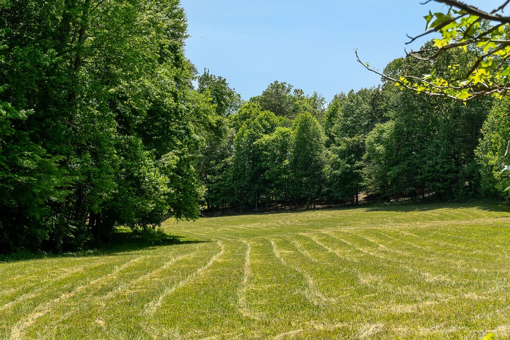 29 +/- Acres Standing Stone Hwy