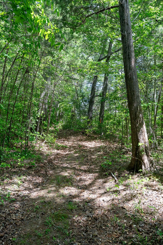 29 +/- Acres Standing Stone Hwy