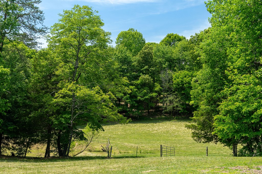 29 +/- Acres Standing Stone Hwy