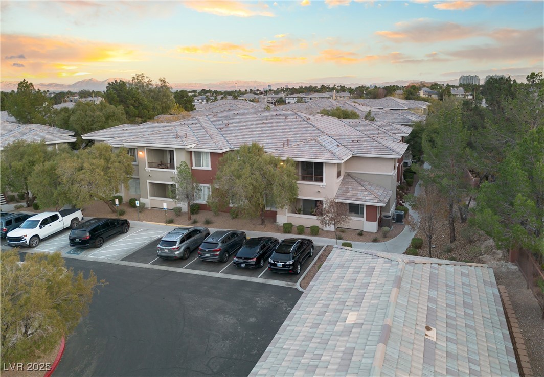 900 Domnus Lane 102