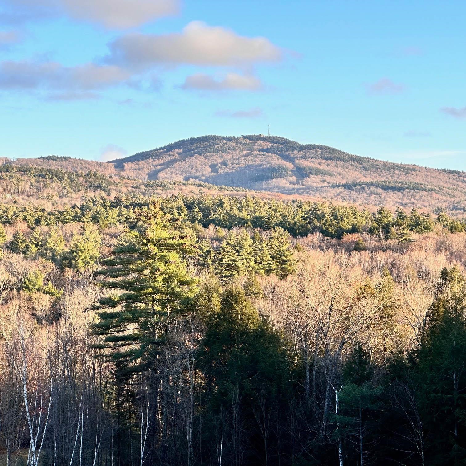 0 Timmothy - Lot 4 Road