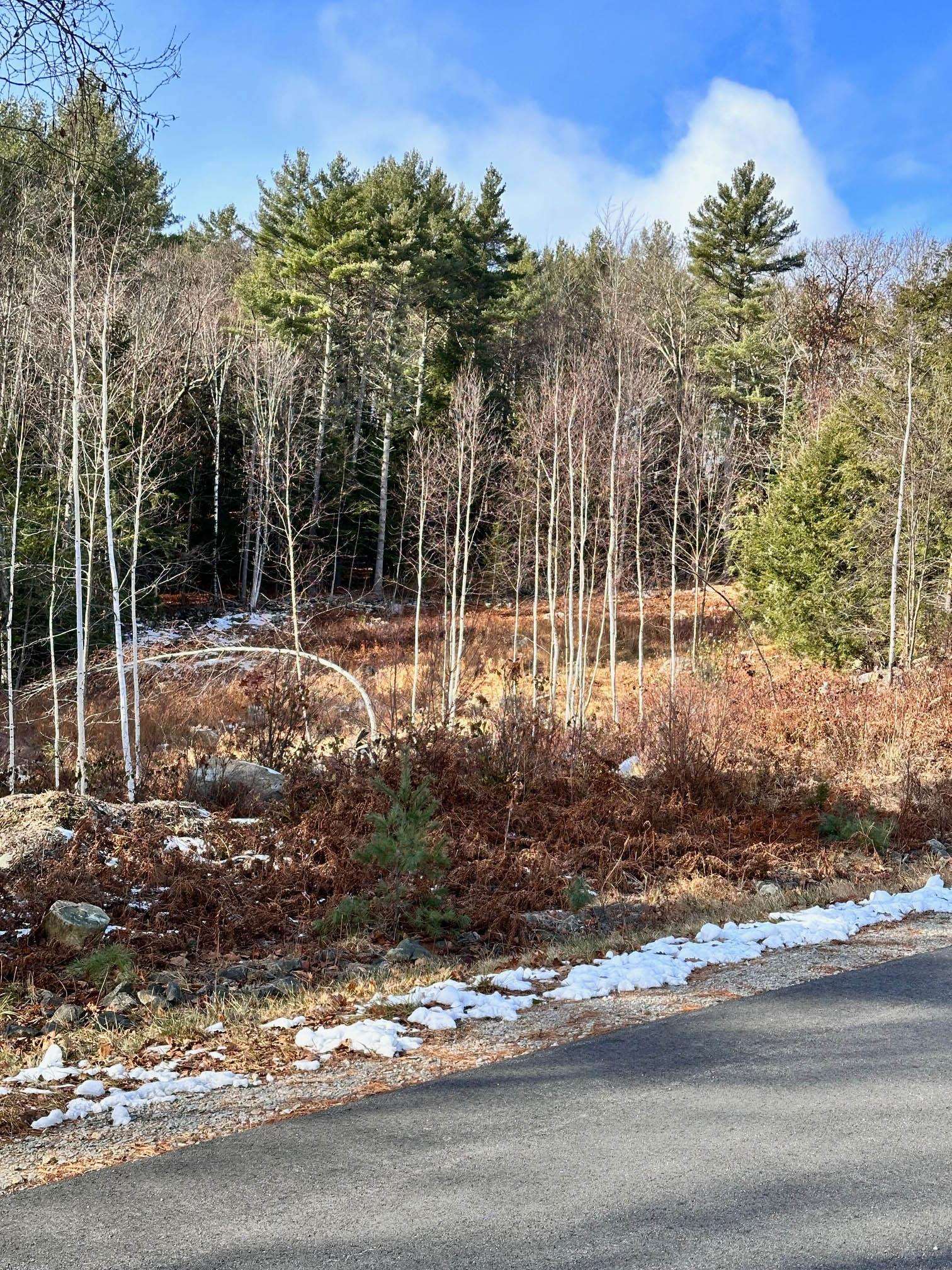 0 Timmothy - Lot 4 Road