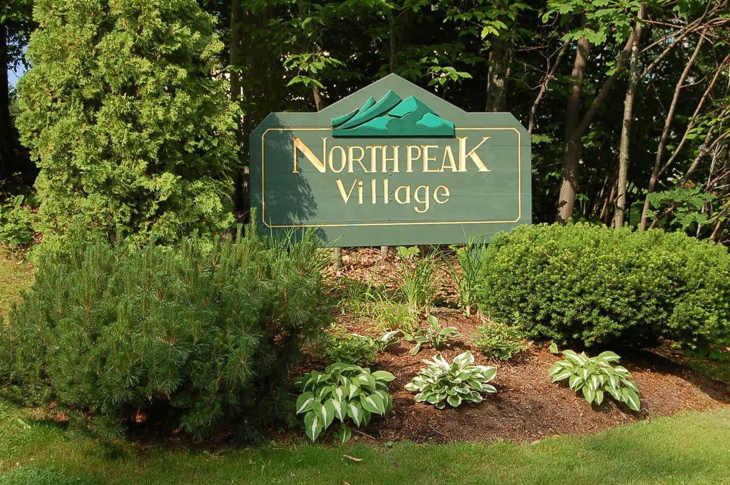 11 North Peak Road Unit: 11