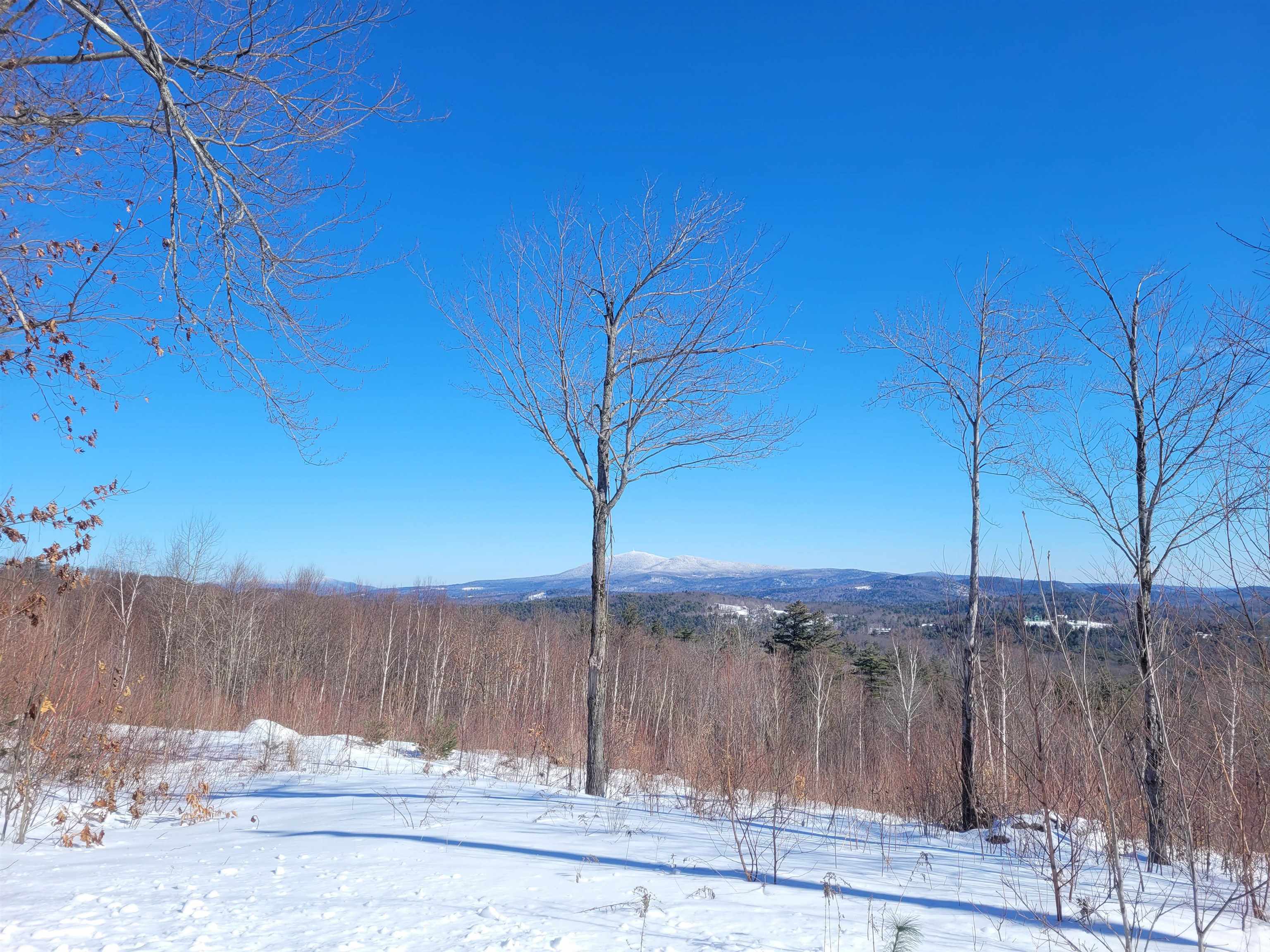 0 Meadow Road Unit: 41