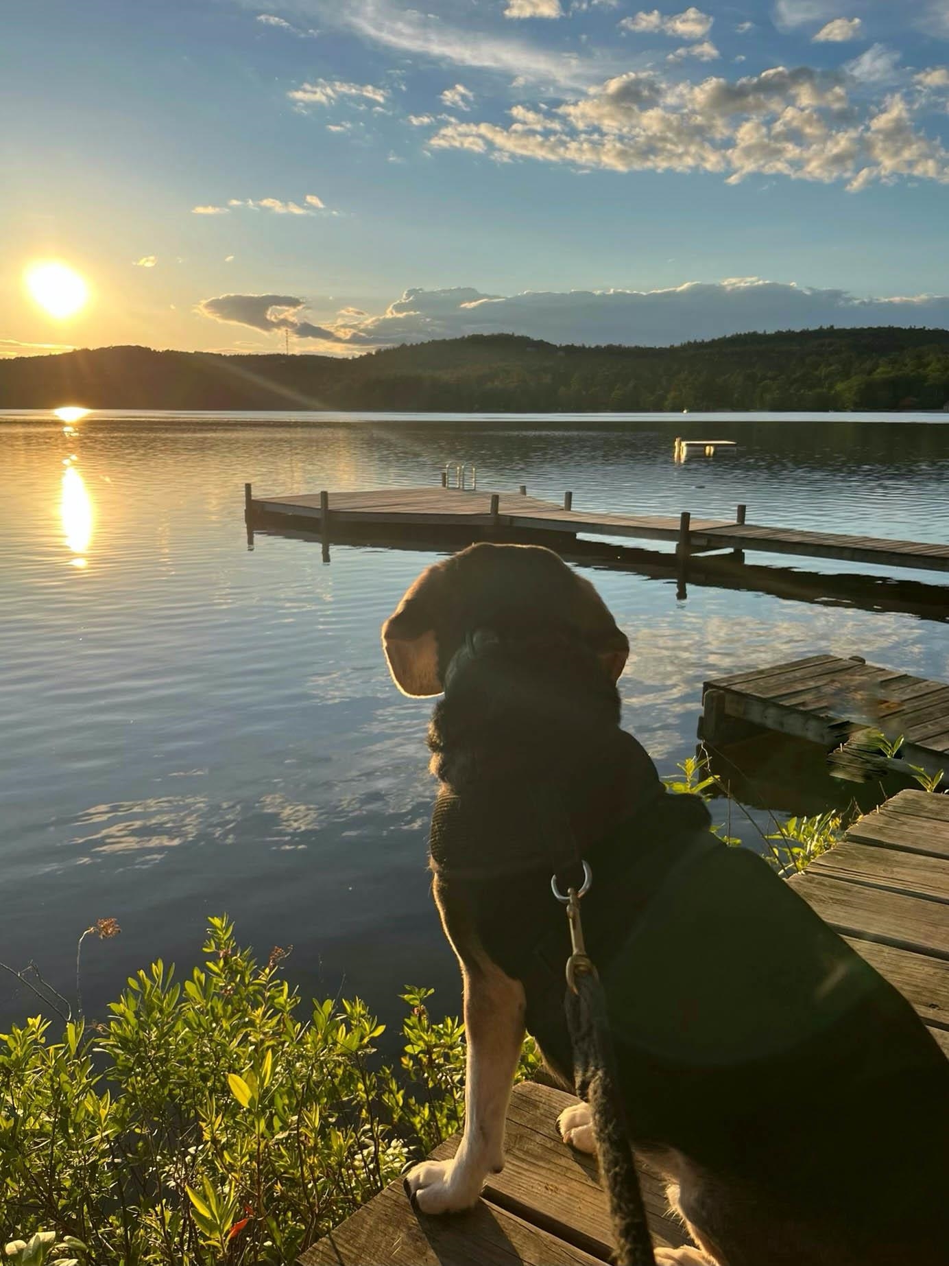 94 Camp Sunapee Road