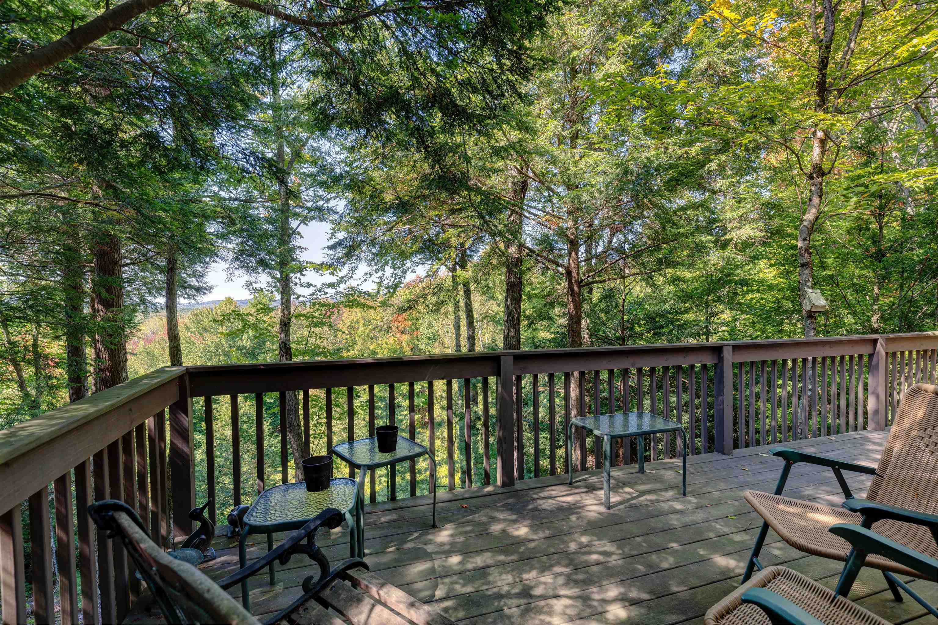 216 Woodland Trace