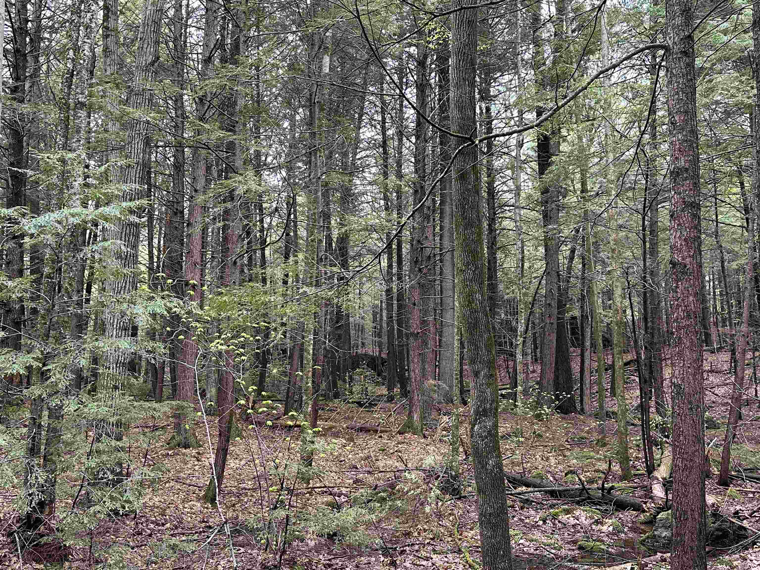 0 Pilothouse Road