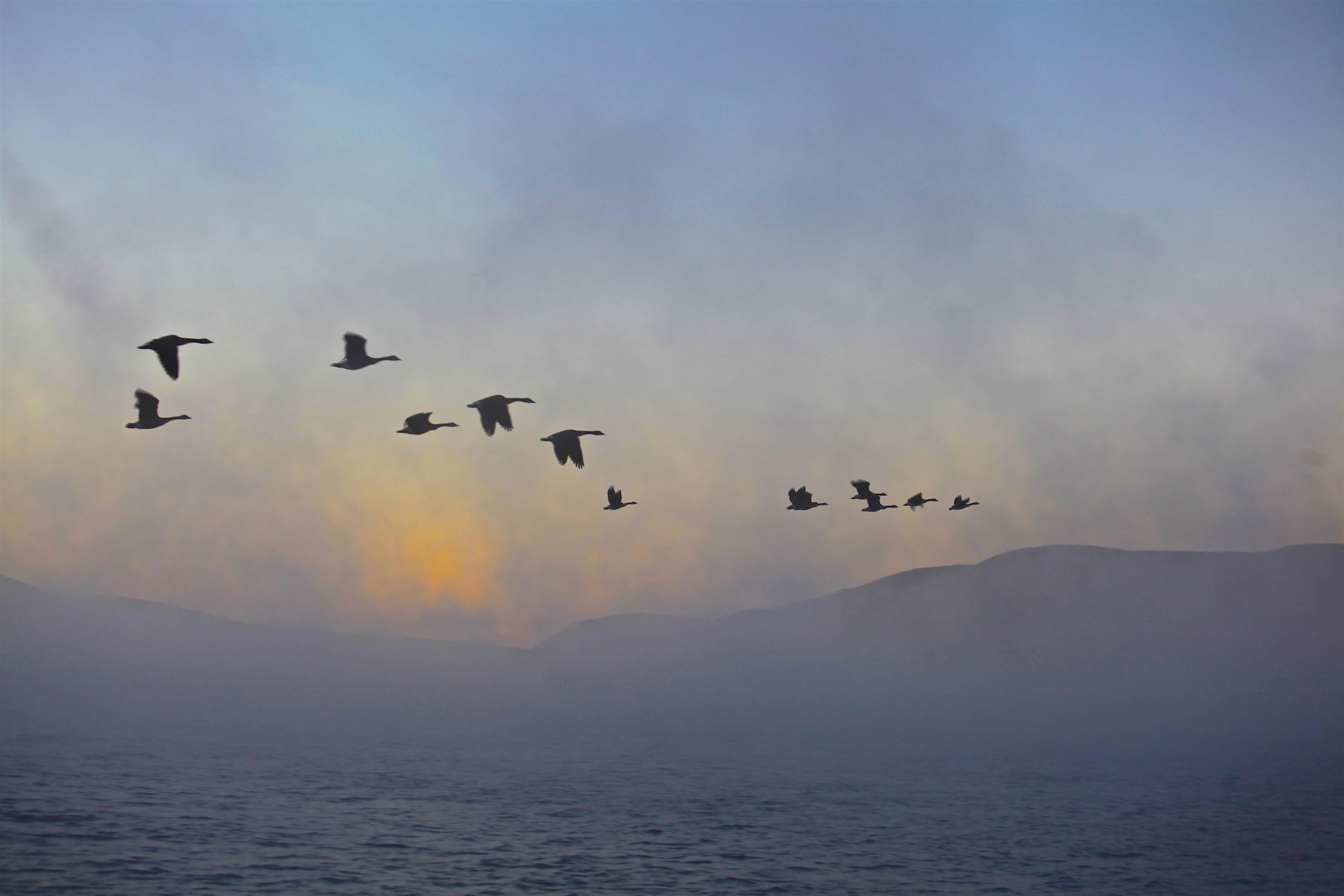 0 Lakewood Manor Road Unit: 3