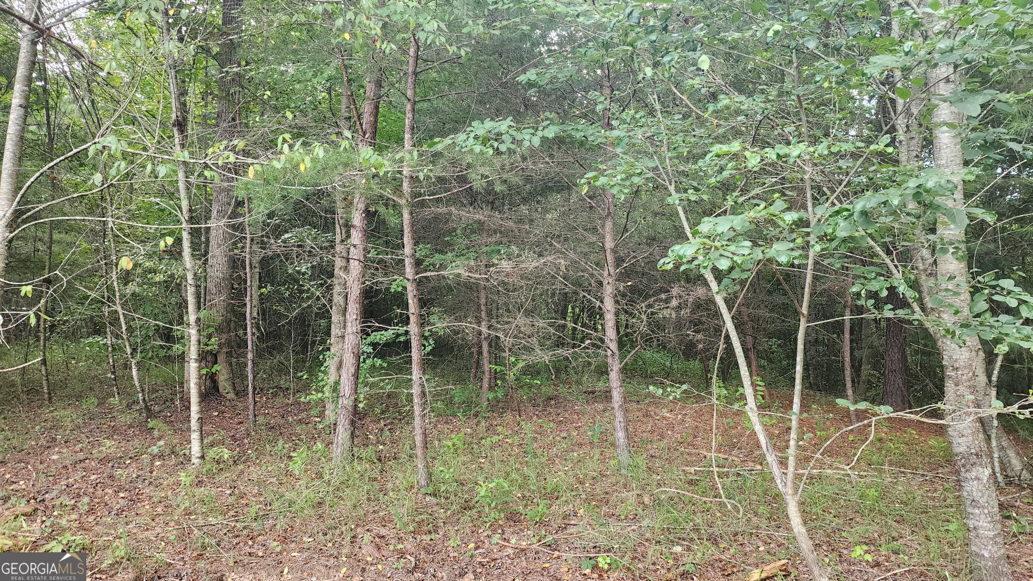 0 MOUNTAIN GLEN Court