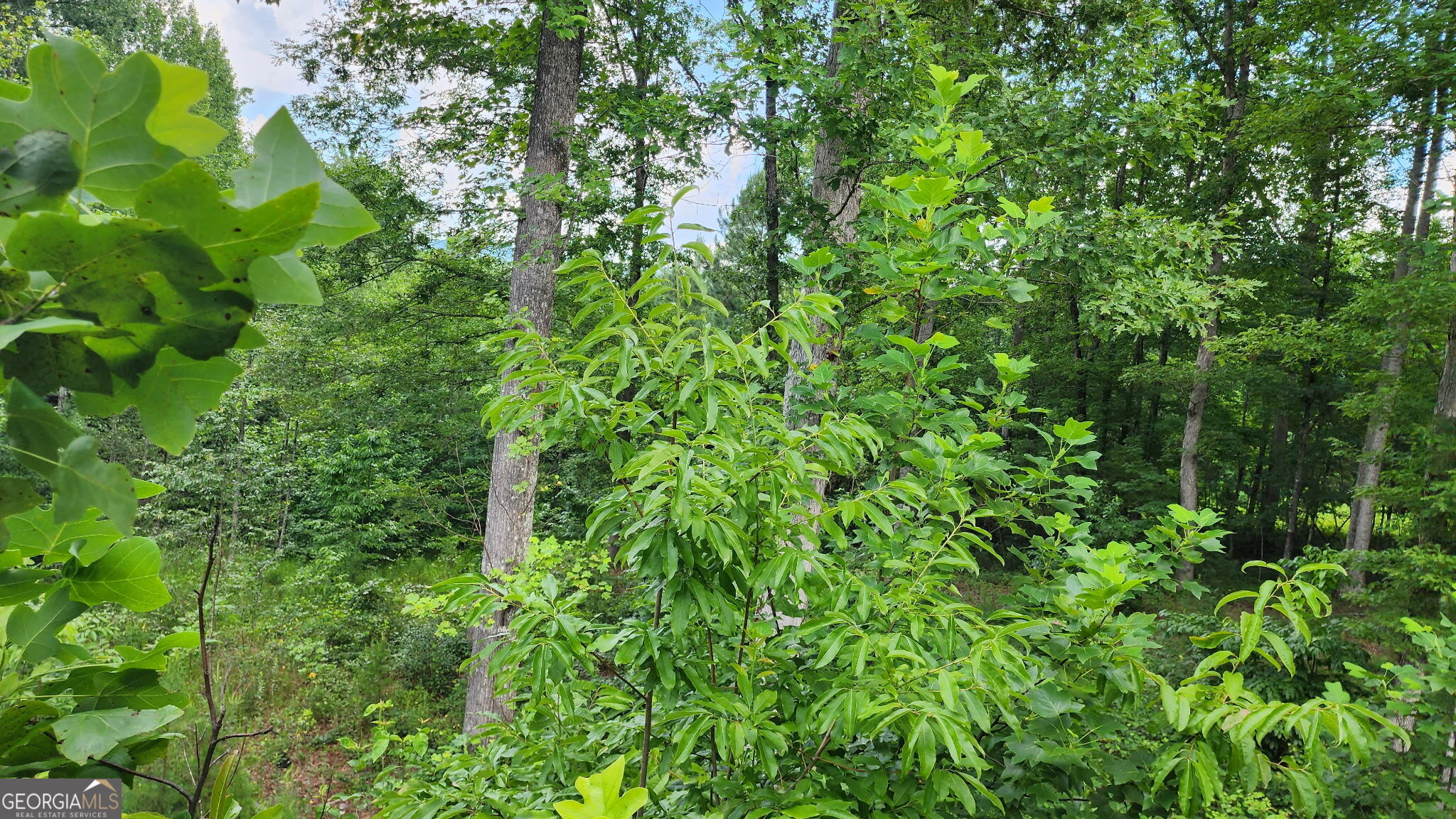 0 MOUNTAIN GLEN Court