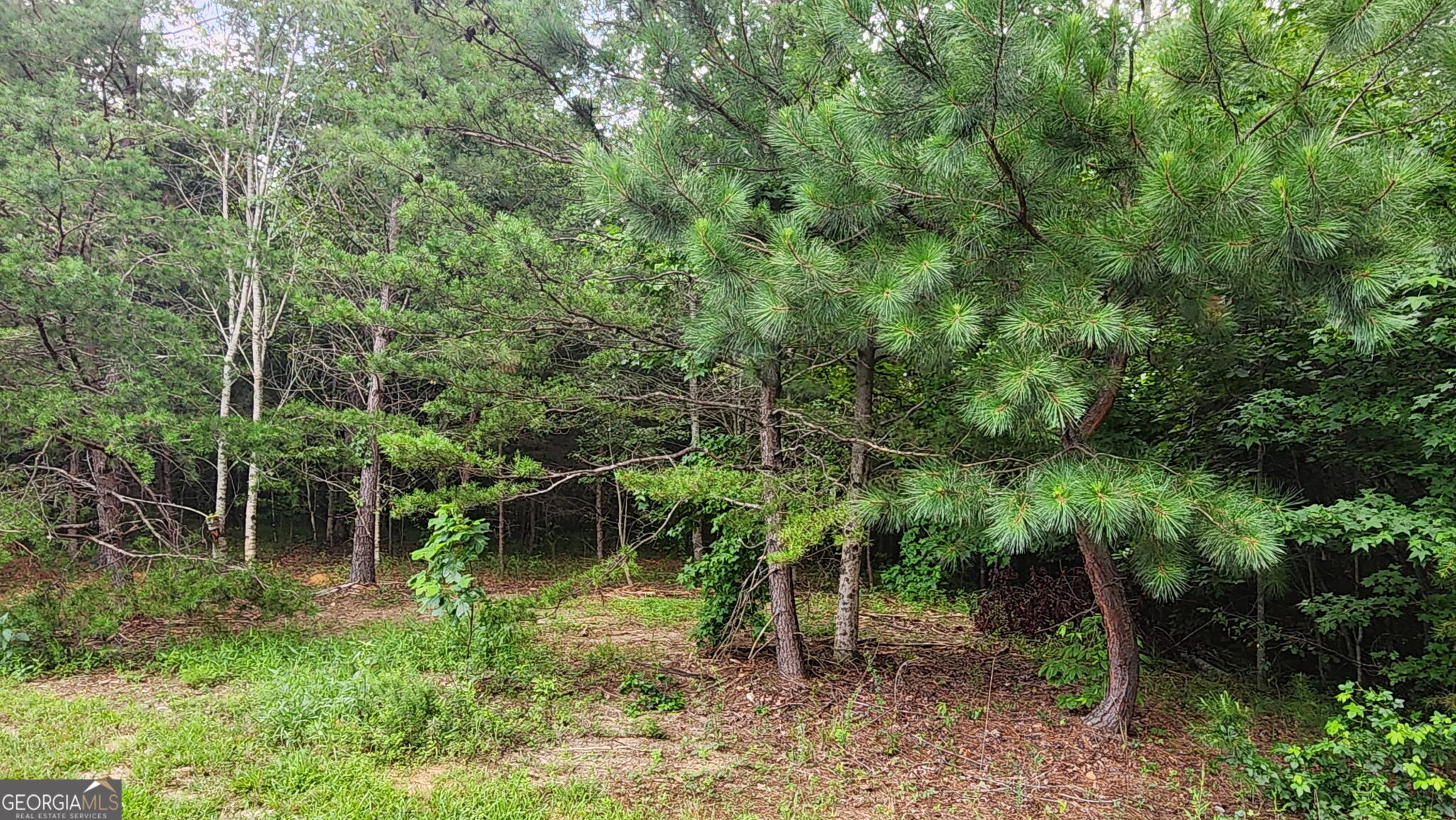 0 MOUNTAIN GLEN Court