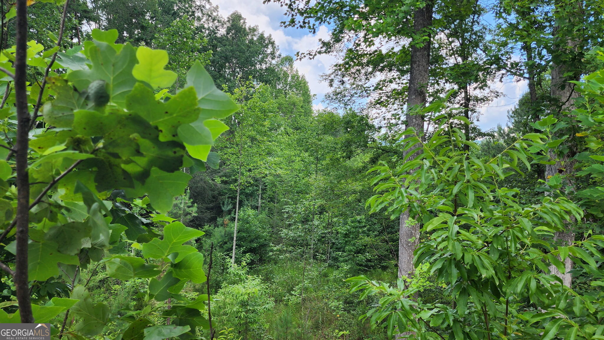 0 MOUNTAIN GLEN Court