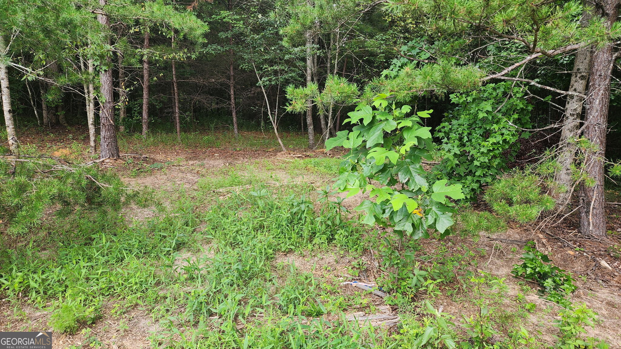 0 MOUNTAIN GLEN Court