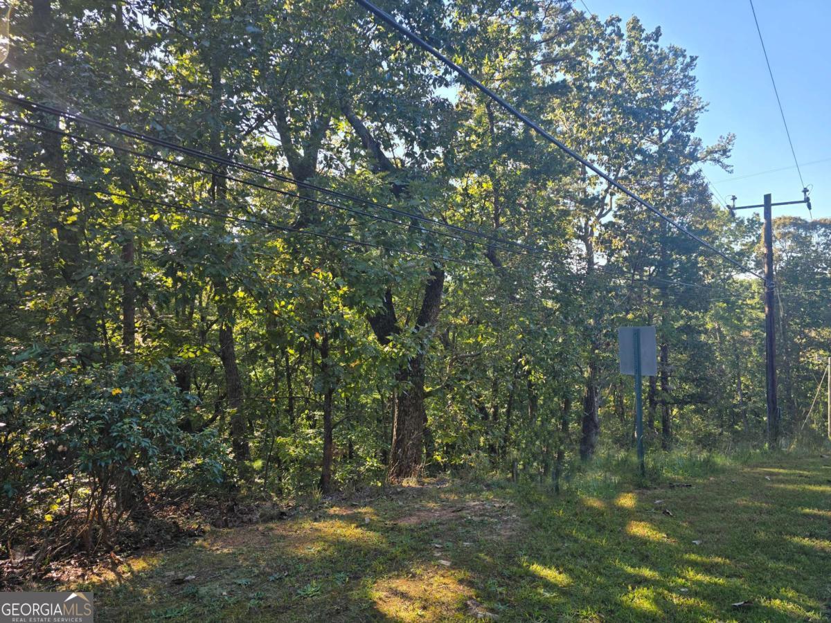 3831 Skyline Drive