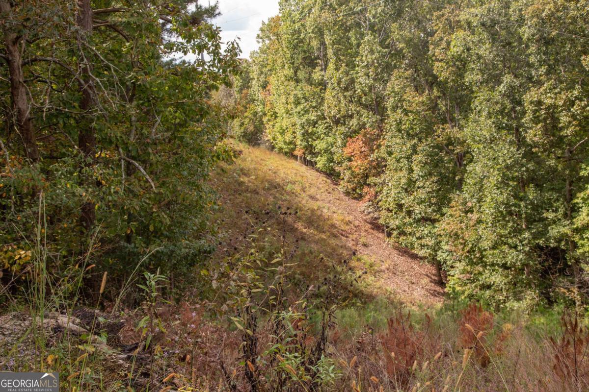 3831 Skyline Drive