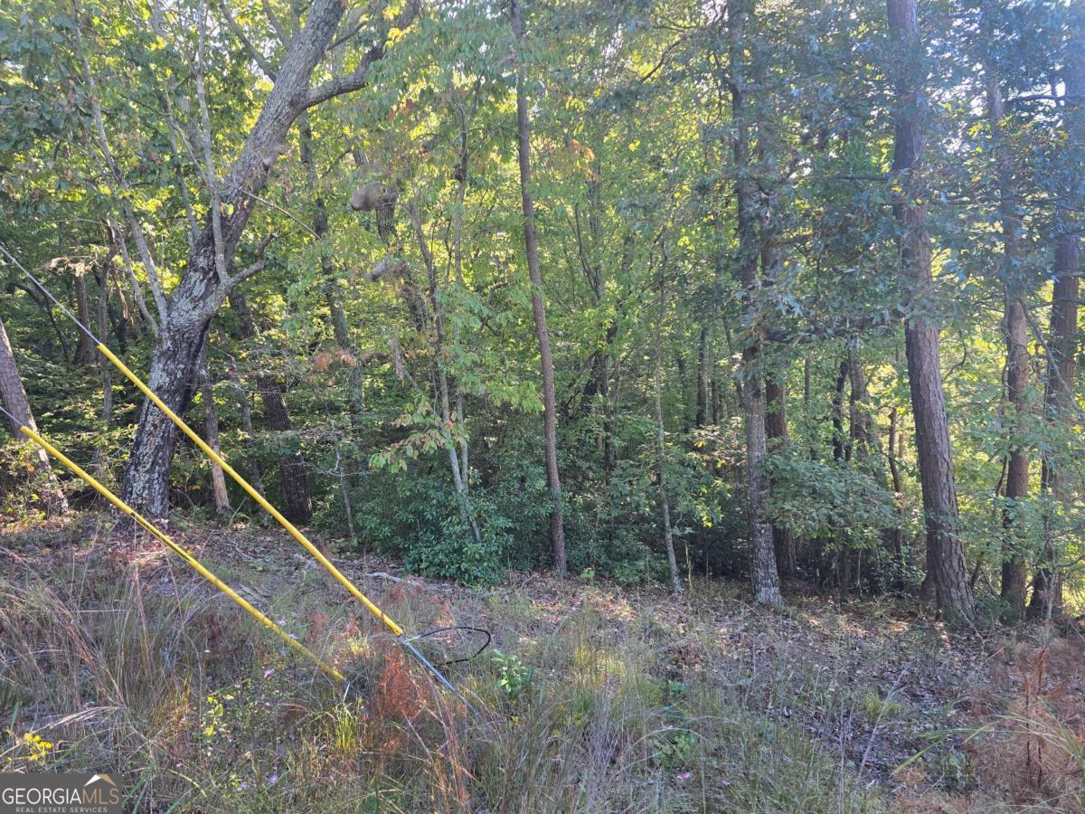 3831 Skyline Drive