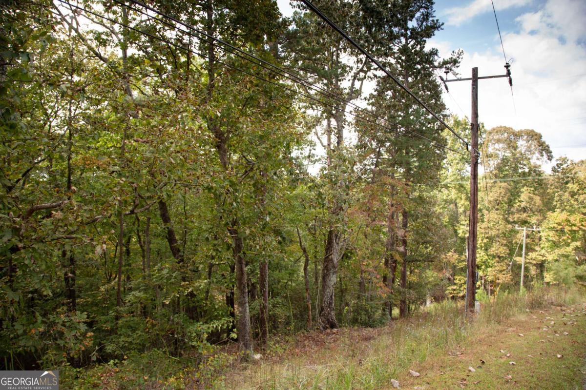 3831 Skyline Drive