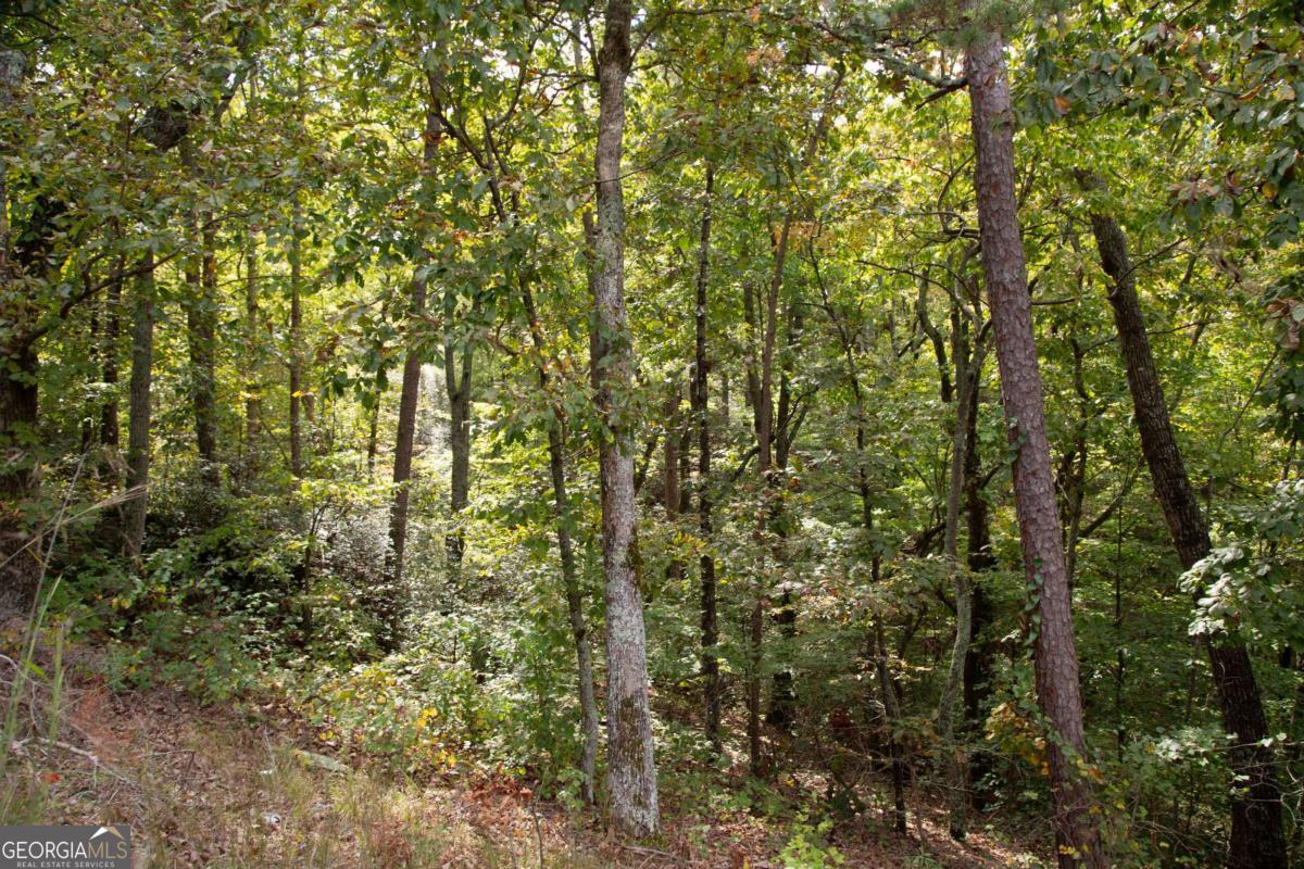 3831 Skyline Drive