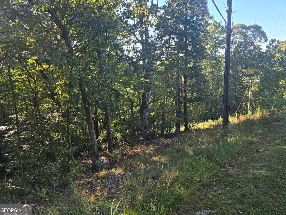 3831 Skyline Drive