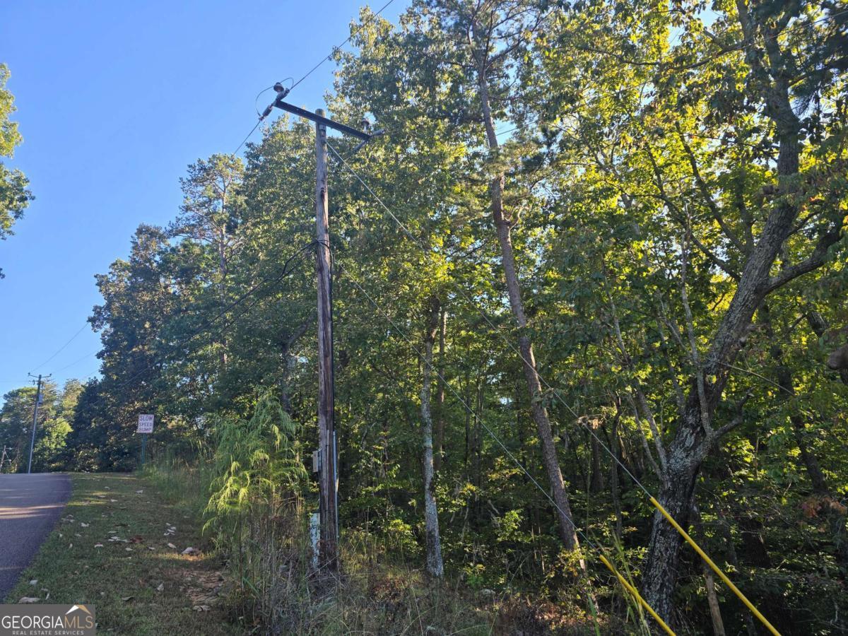 3831 Skyline Drive