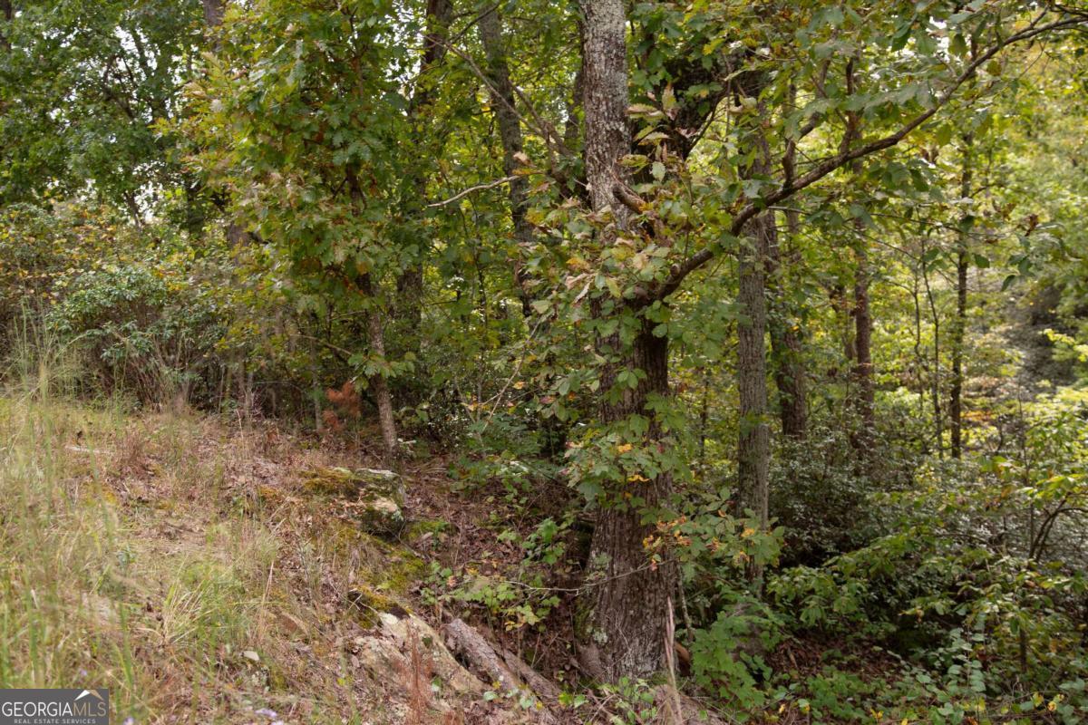 3831 Skyline Drive