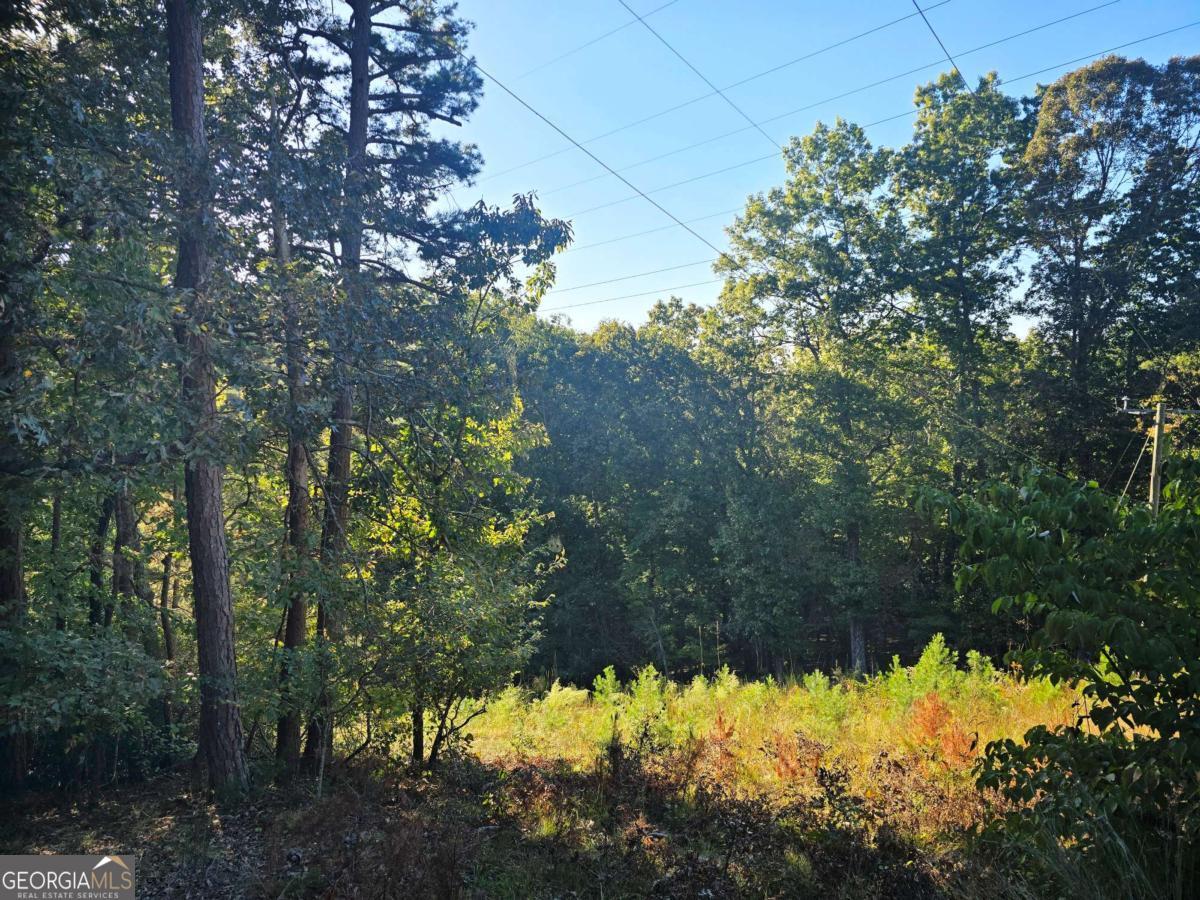 3831 Skyline Drive