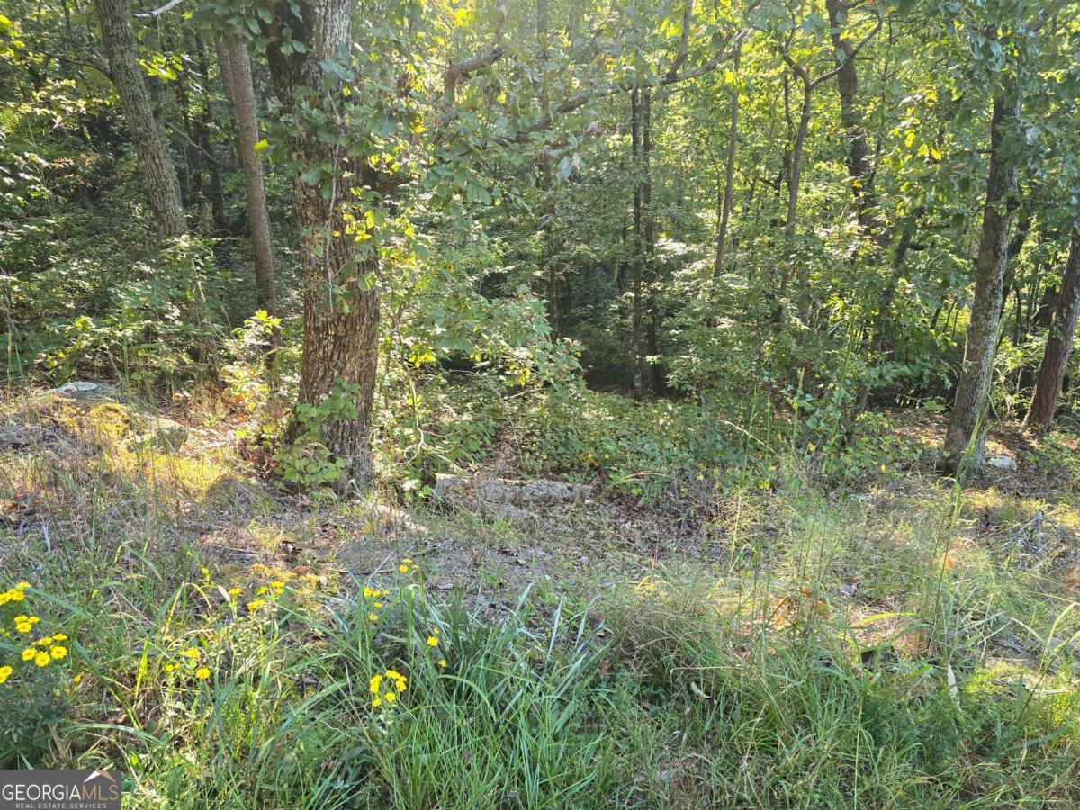 3831 Skyline Drive